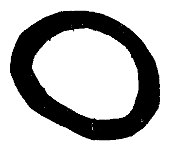 logo_ring_transparent.gif